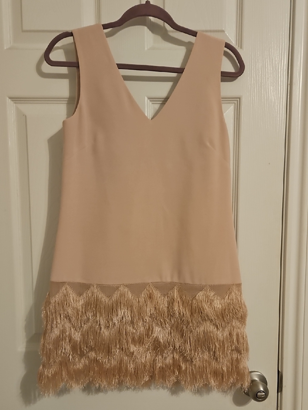 BCBGMaxAzria Blush Fringe Hem V-Neck Mini Dress